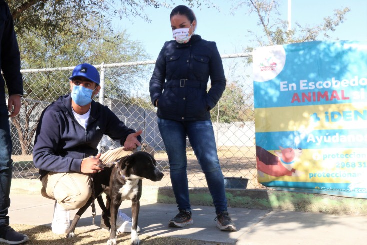  LANZAN INVITACIÓN EN ESCOBEDO PARA ADOPTAR ANIMALES Y BUSCAN CREAR CONCIENCIA SOBRE SU CUIDADO