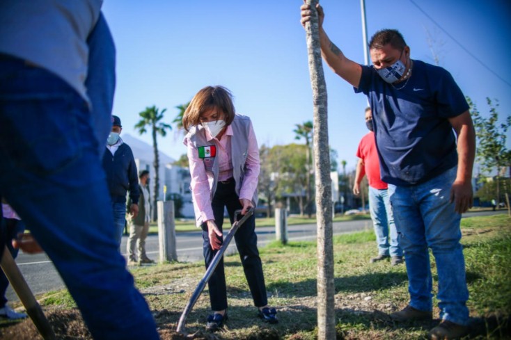  SIEMBRAN ENCINOS EN ESPACIOS PÚBLICOS DE GUADALUPE