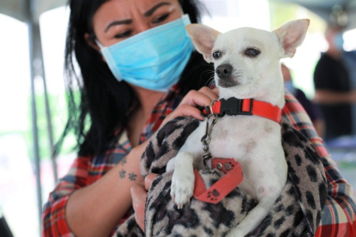  ESTERILIZA ESCOBEDO ANIMALES DE COMPAÑÍA;BUSCAN EVITAR NACIMIENTOS NO DESEADOS