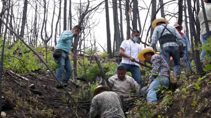  RECUPERA UANL ZONA AFECTADA POR INCENDIOS