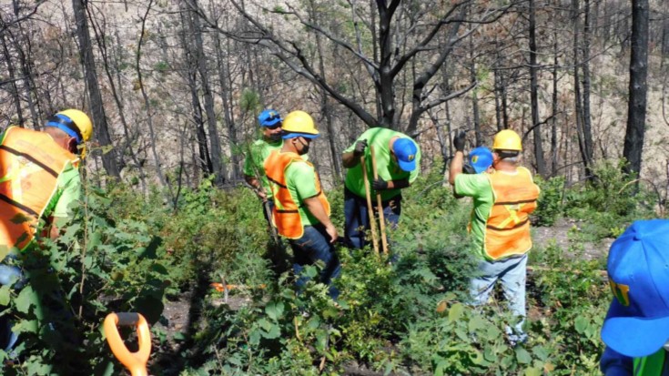  INICIA UANL RESCATE DEL BOSQUE ESCUELA