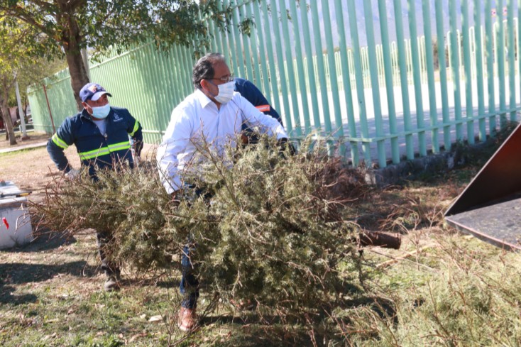  HABILITA ESCOBEDO NUEVE CENTROS PARA ACOPIO Y TRITURACIÓN DE PINOS NAVIDEÑOS